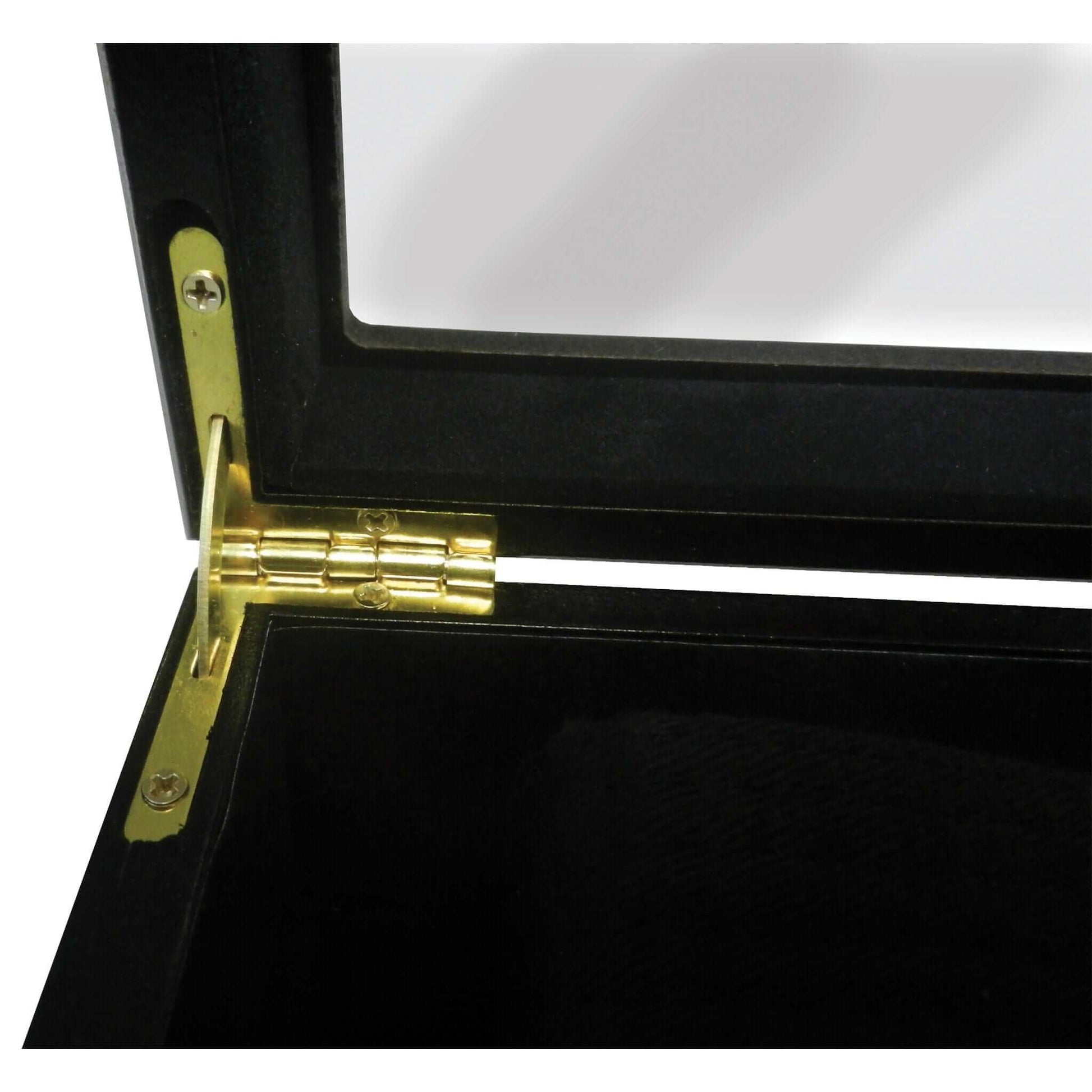 ProForce sporting goods Belt Display Case martial arts karate